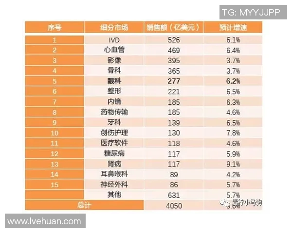 武汉排球队技术分析与战术提升的深度探讨与展望